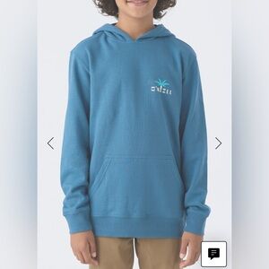 O'Neill Teal Hoodie with Logo